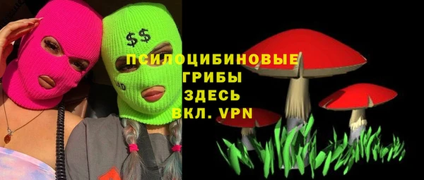 амф Алексин
