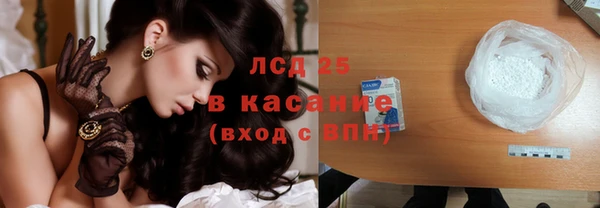 шишки Алзамай