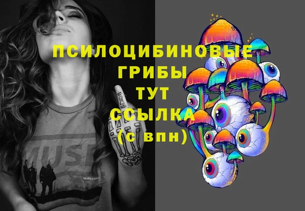 шишки Алзамай