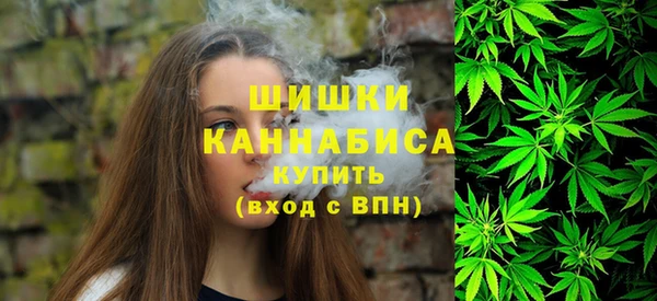 шишки Алзамай
